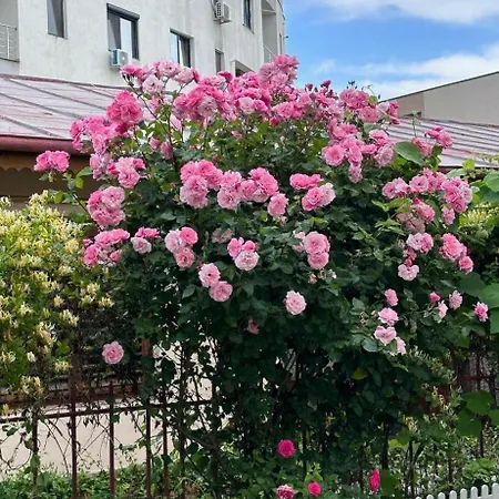 Alessia Guest house